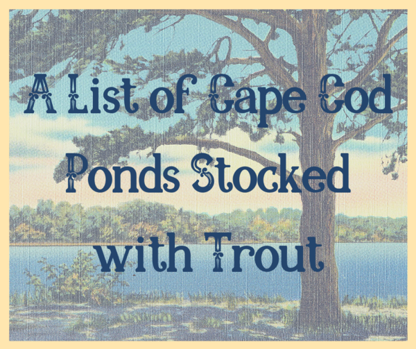 A List of Cape Cod Ponds Stocked with Trout in 2019