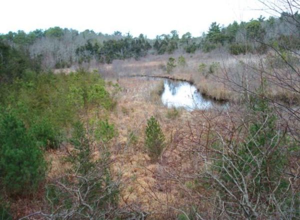 Photograph of river in a marsh at the skunknett river wildlife sanctuary in Osterville