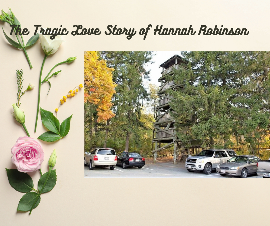 The Tragic Love Story Hannah Robinson