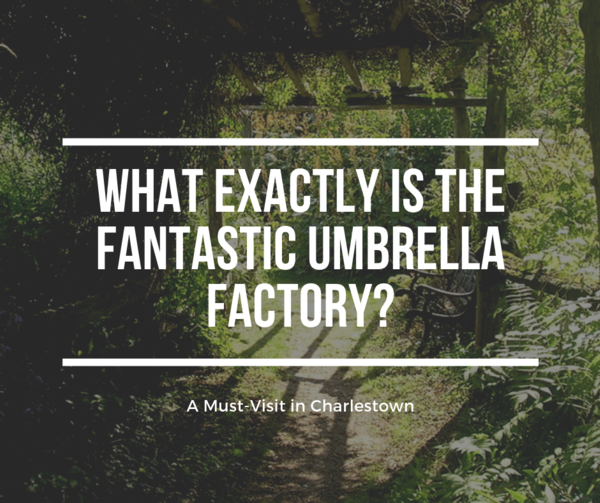 umbrella factory